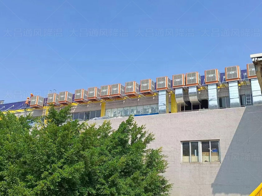 鐵皮廠房如何降溫，來這里了解更多方案